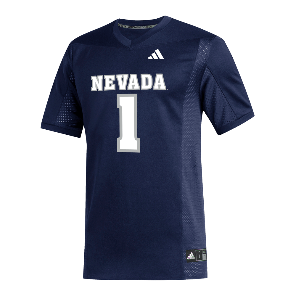 Adidas Football Jersey Silver and Blue Outfitters