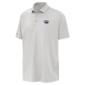 Primary Hurdle Polo
