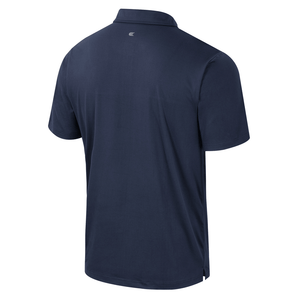 Potential Polo