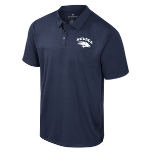 Potential Polo