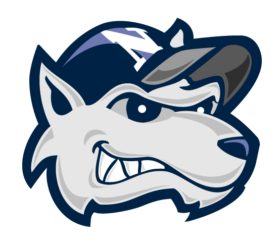 Silver and Blue Outfitters