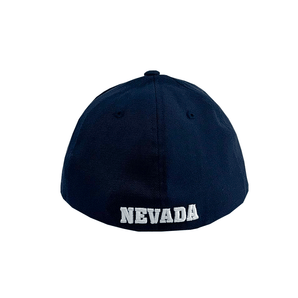 Stock Old School Hat