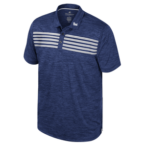 Theoretical Polo