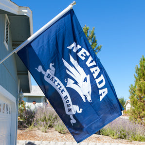 Battle Born Screened Flag